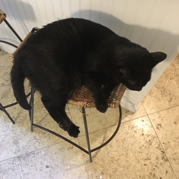 Meet your Posher, Michael - Picture 1 of 1